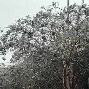 Meet your Posher, Chad